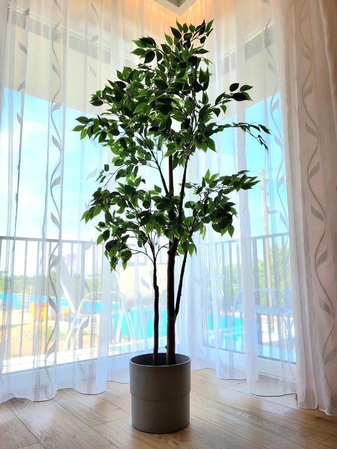 Eksclusive Apartment Paradise Down Town 6 Persons 3 Rooms 克拉科夫 外观 照片